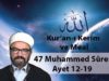47 Muhammed Sûresi Ayet 12-19-01